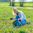 Laden Sie das Bild in den Galerie-Viewer, Pusteblume Löwenzahn-Likör