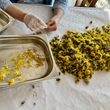 Laden Sie das Bild in den Galerie-Viewer, Pusteblume Löwenzahn-Likör